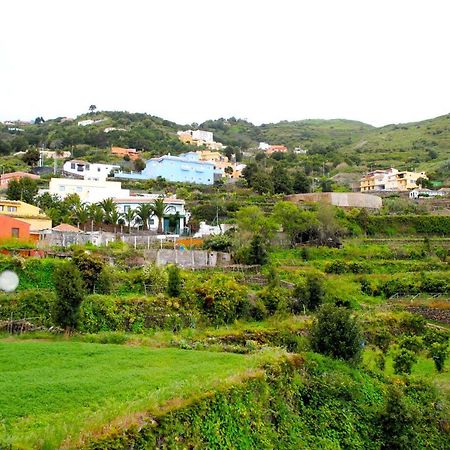 Canarian House Casa Esther In 伊科德·德·洛斯·维诺斯 外观 照片