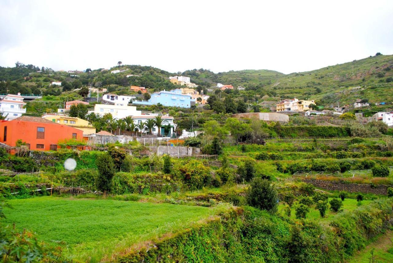 Canarian House Casa Esther In 伊科德·德·洛斯·维诺斯 外观 照片